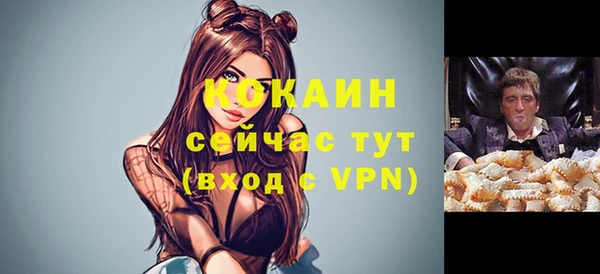 винт Алзамай