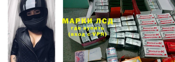винт Алзамай